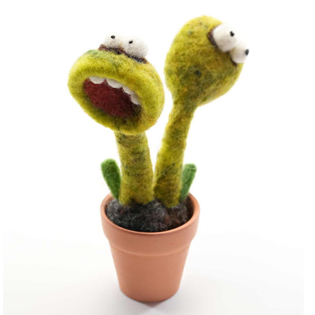 Handmade Wool Needle Felted Pooka Plant