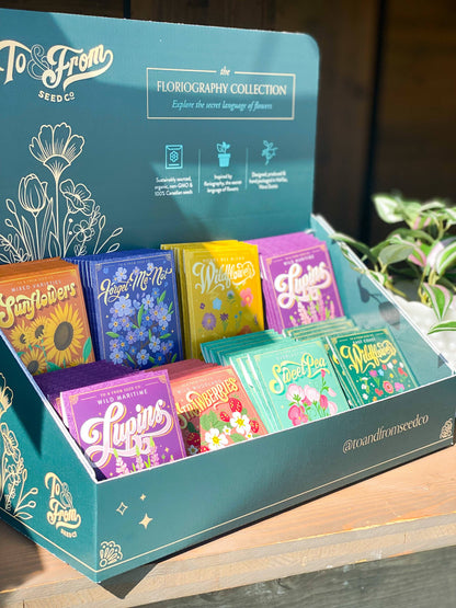 Seed Packet Countertop Retail Display (EMPTY)