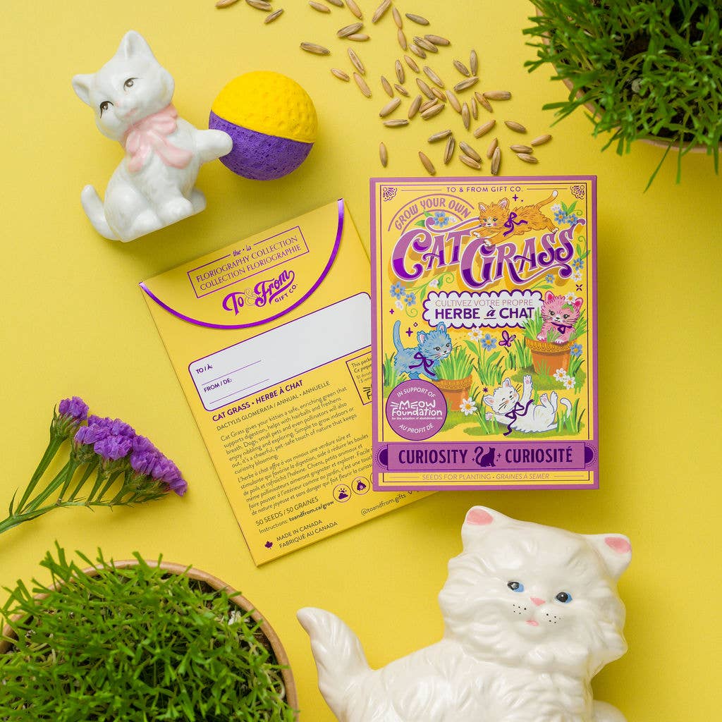 Seed Packet - Cat Grass (Curiosity) - Purple Foil