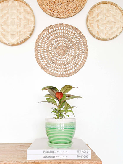 Willow Ceramic Planter Pot, Drainage Hole &amp; Attached Saucer