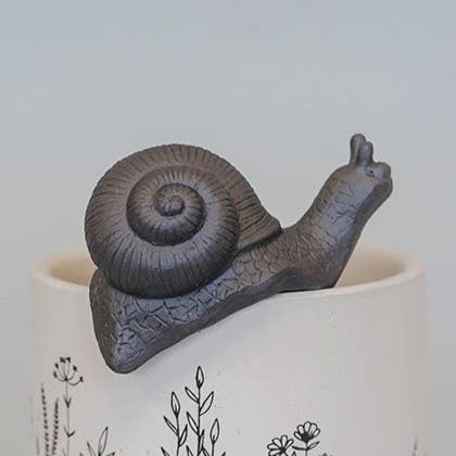 Black Snail Flower Pot Decoration