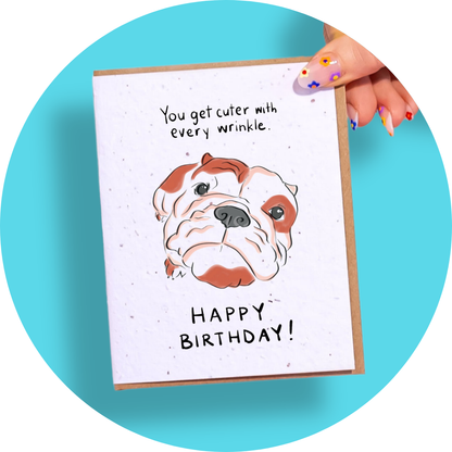 Birthday Wrinkles: Mini