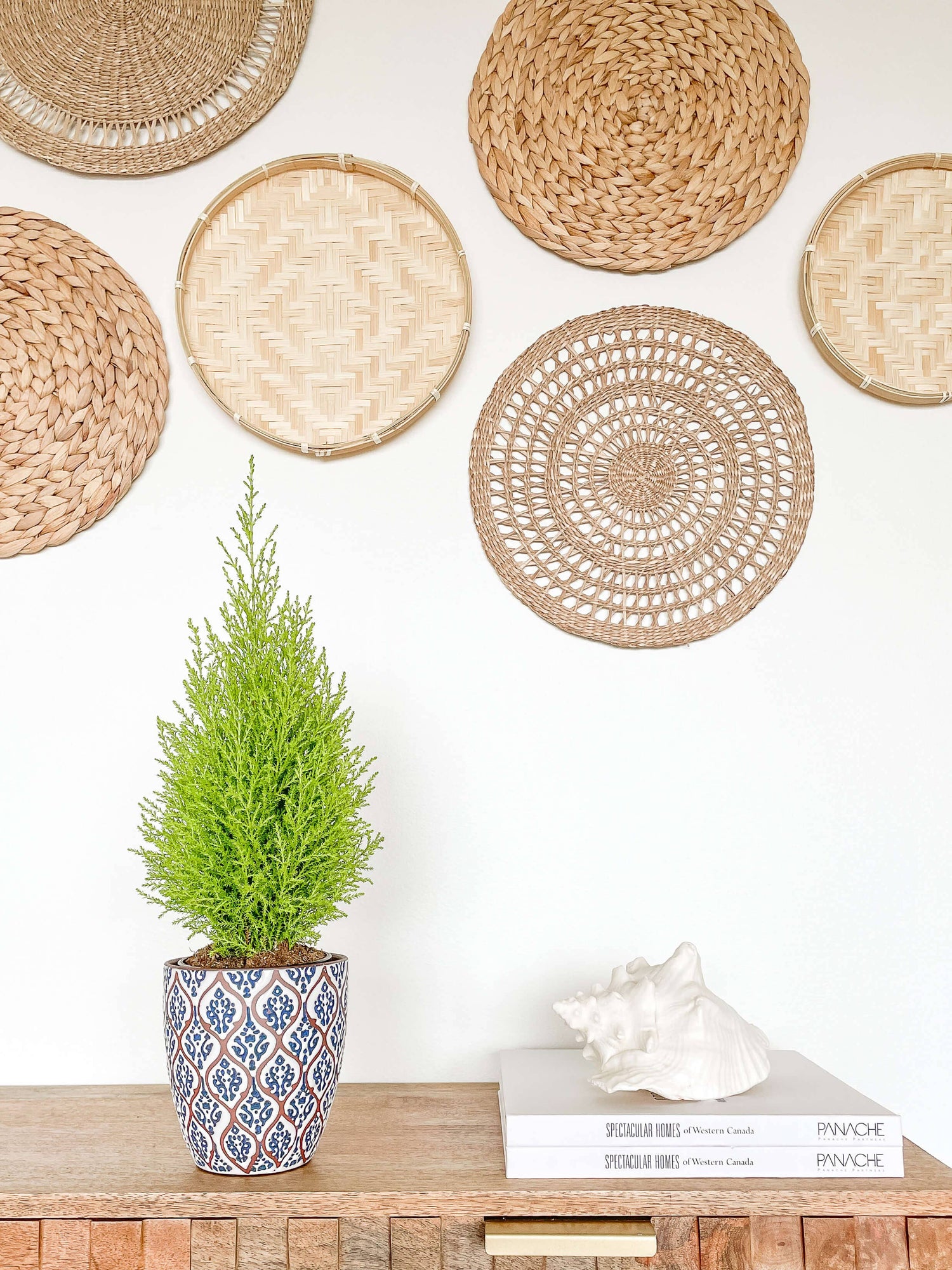Amara Ceramic Planter Pot, Unique Pattern Plant Pots
