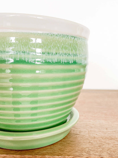 Willow Ceramic Planter Pot, Drainage Hole &amp; Attached Saucer