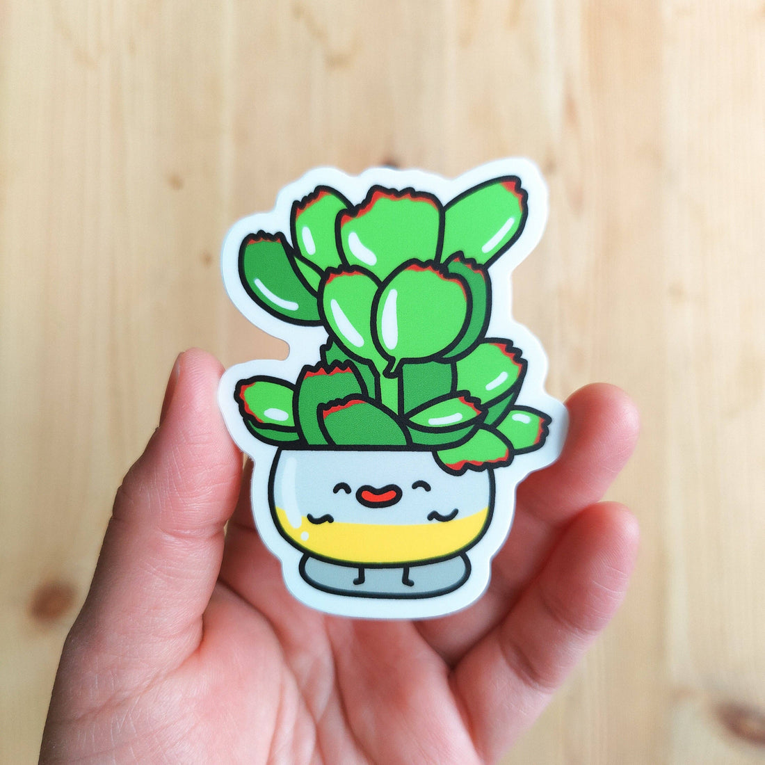 Bear Paw Succulent Plant Vinyl Sticker