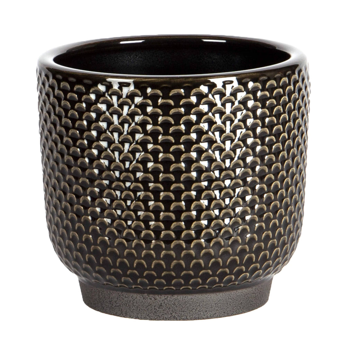 LARGE BLACK SCALLOP SPOTS