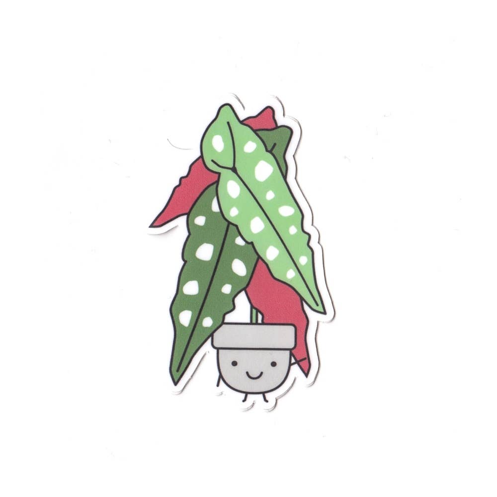 Begonia Plant Vinyl Sticker