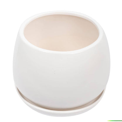 Truu Design Matte Ceramic Planter 6"D: White