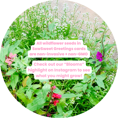 HBD Best Bud: Mini