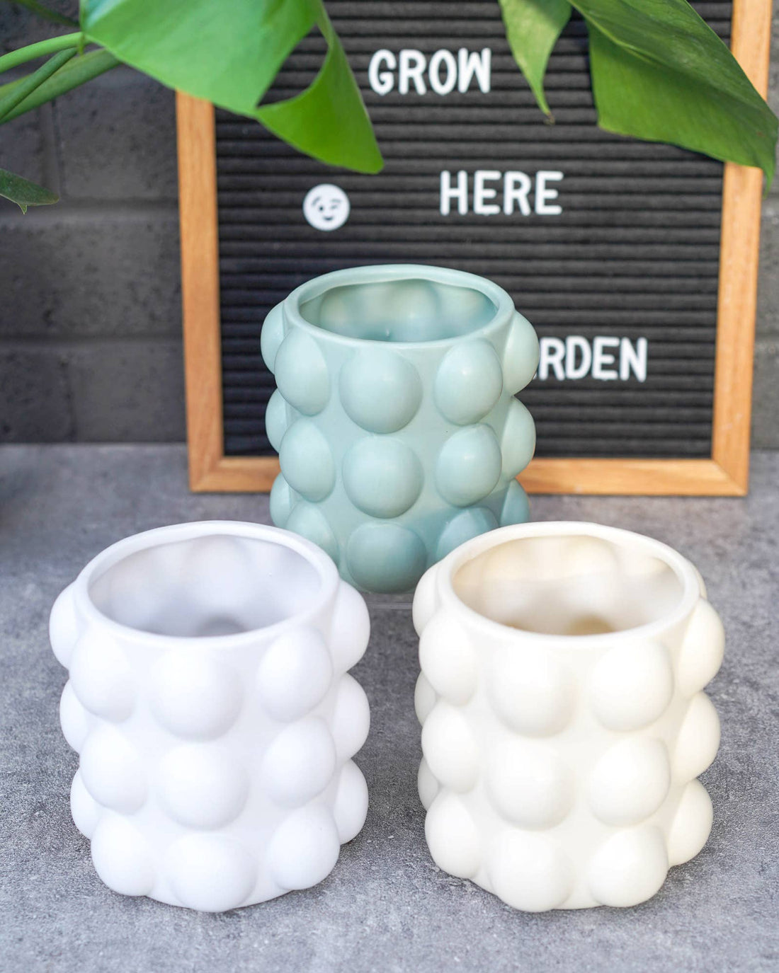 Bubble Pots - Small