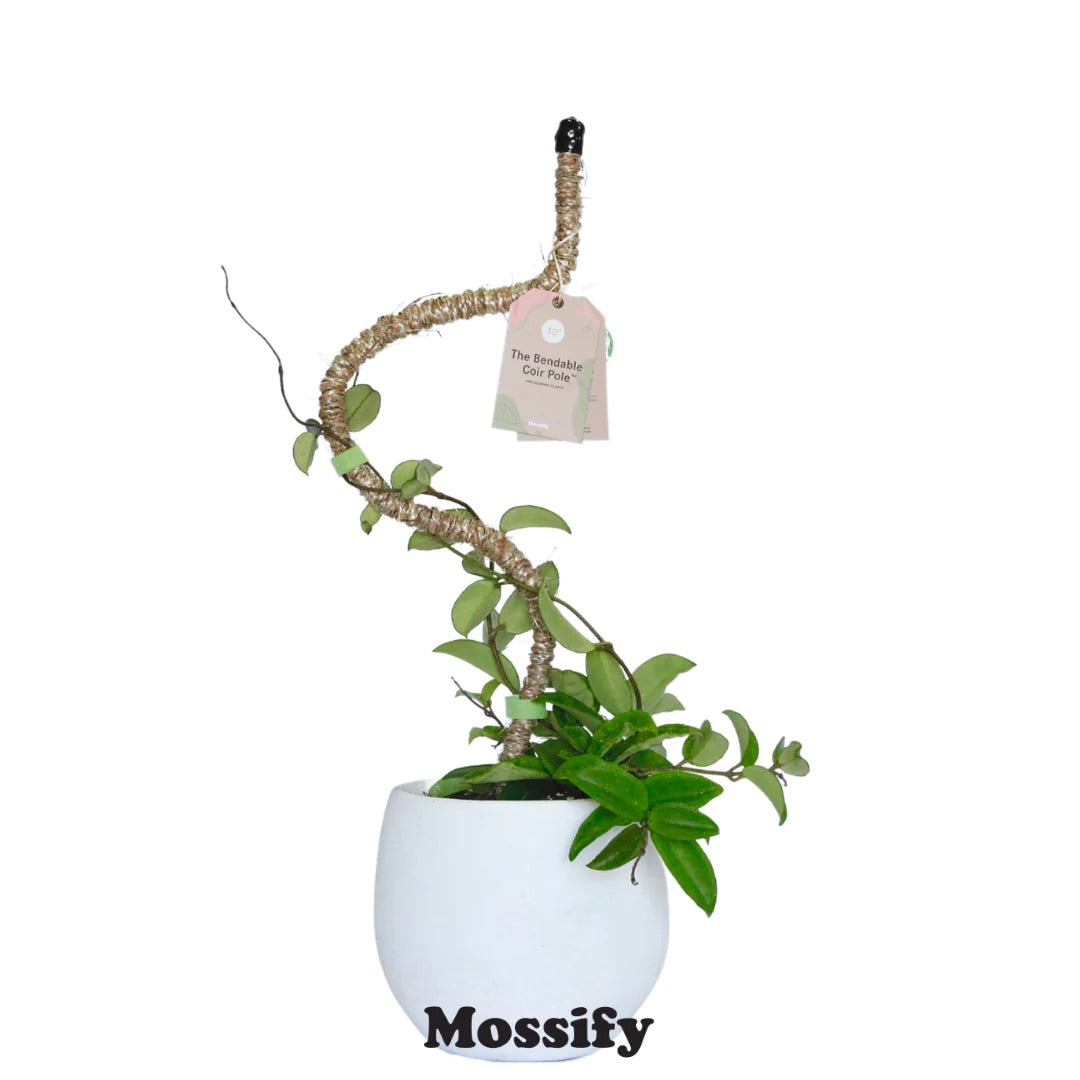 Mossify 16&quot; Original Bendable Coir Pole