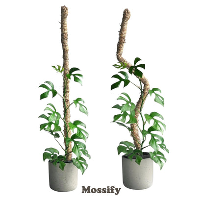 Mossify 42&quot; Bendable Moss Pole