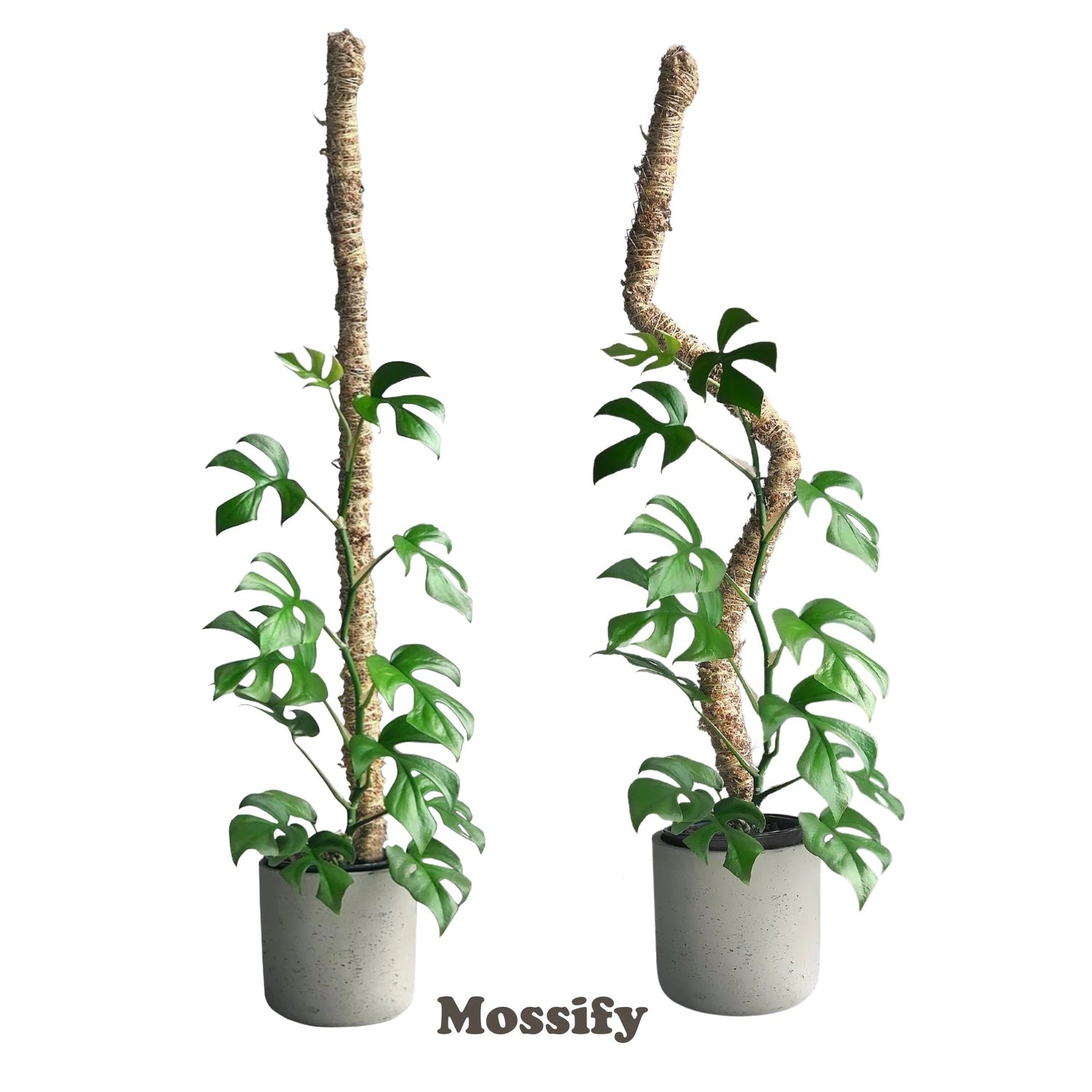 Mossify 16&quot; Bendable Moss Pole