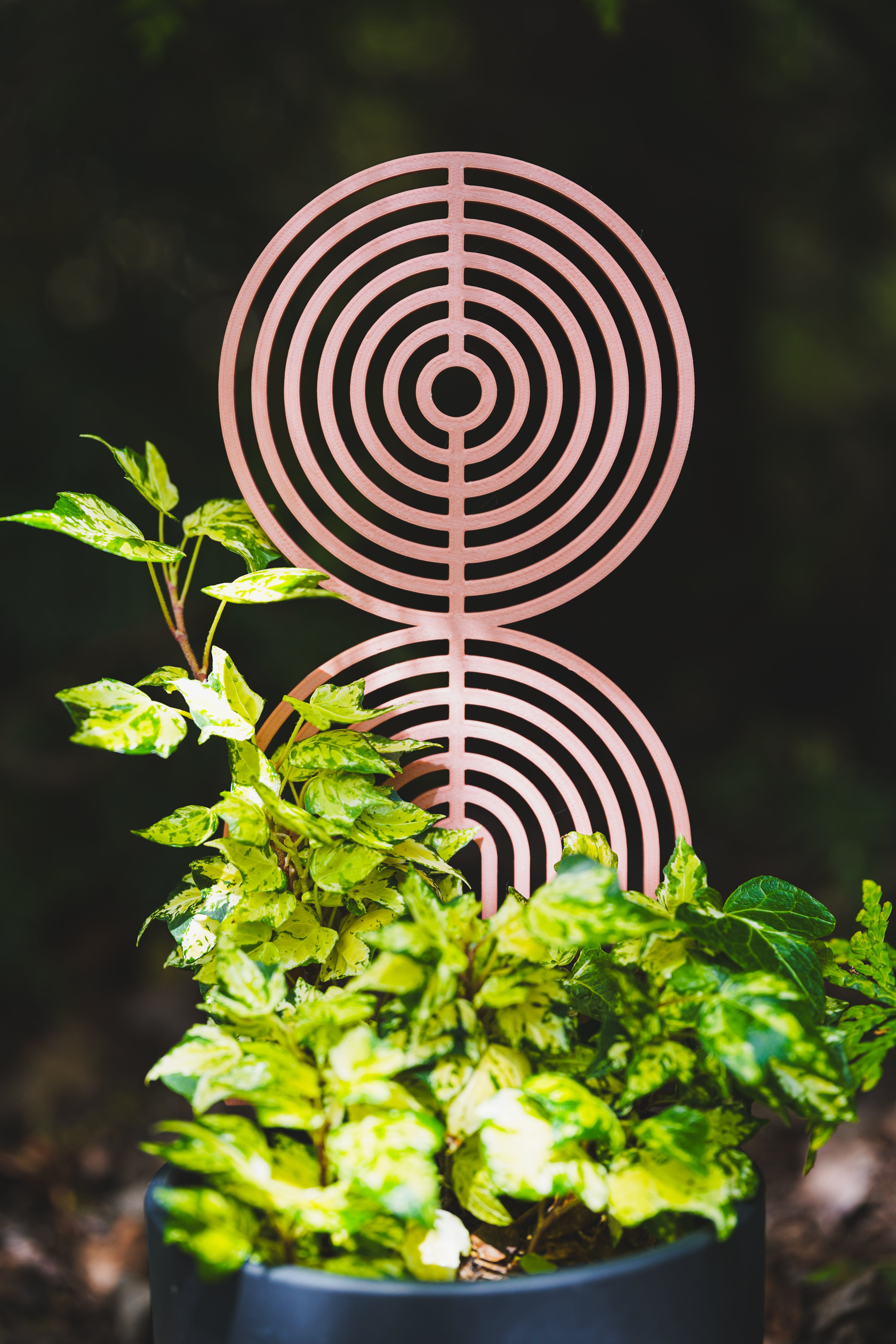 Plant Trellis, Boho