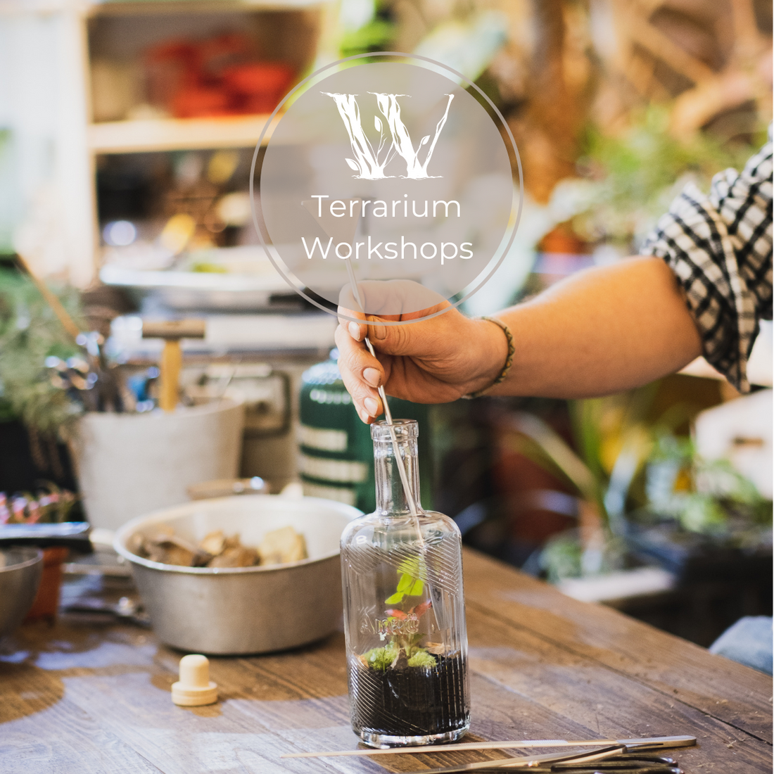 Terrarium Workshop