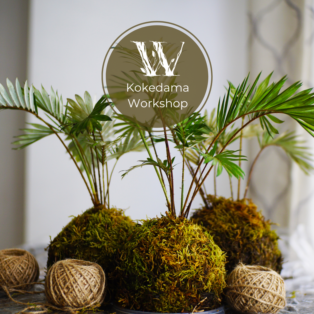 Kokedama Workshop - 2 May 2025